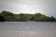 A shot of Innisfallen while riding a boat on Lough Leane
