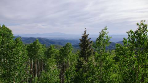 An overlook within the Santa Fe National Forest.